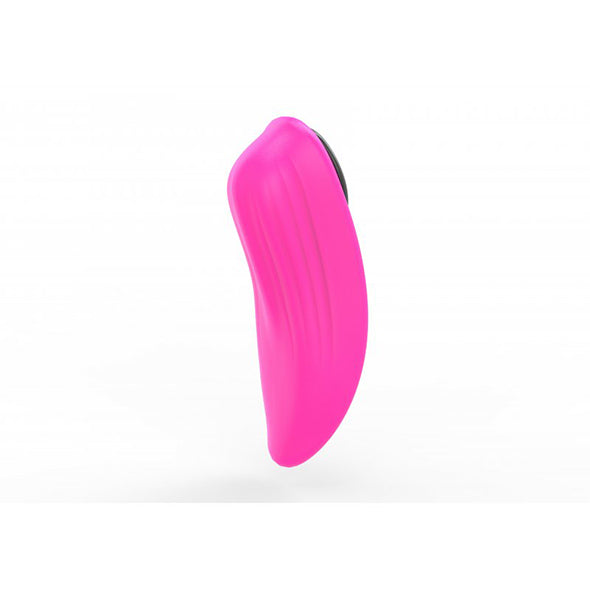 Panty Vibe Ferri Com Íman Lovense