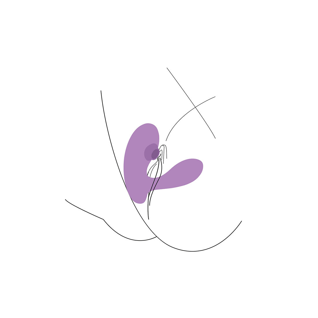 Vibrador G-Spot Duovibe I