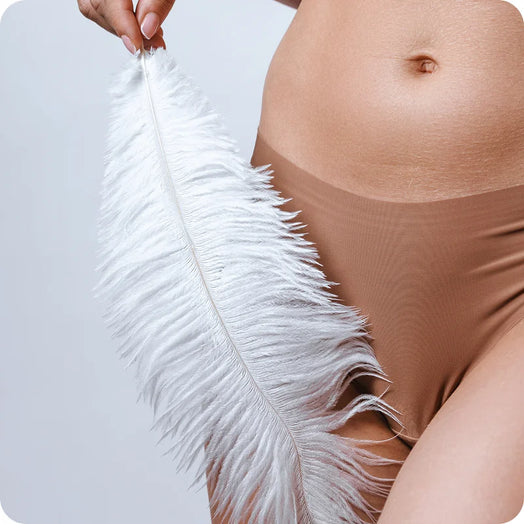 Imagem com silhueta feminina e uma pena branca grande