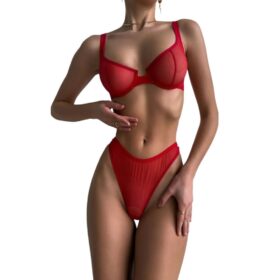 conjunto de soutien e tanga vermelho transparente
